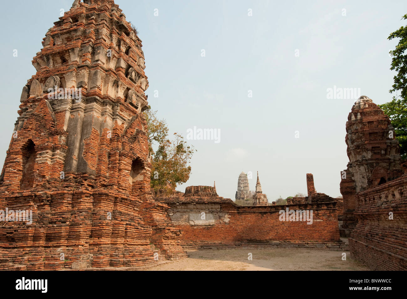 Wat Maha That, Ayutthaya, Province d'Ayutthaya, Thaïlande, Asie Banque D'Images
