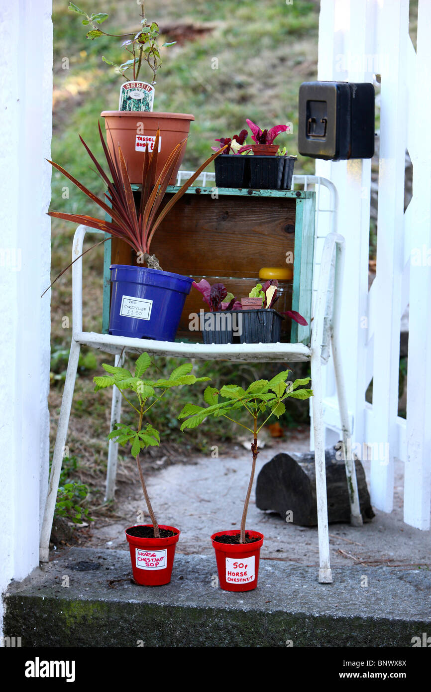 Vente de jardin, les gens offrent les plantes et les fruits de leur propre jardin à la porte du jardin, self service, l'argent dans la boîte. Guernesey. Banque D'Images