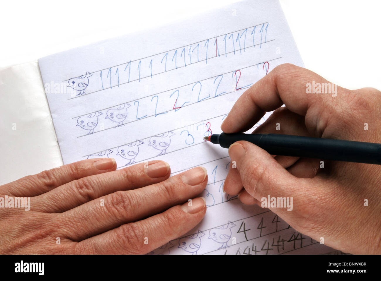 La main de l'enseignant avec stylo rouge la révision des devoirs Photo  Stock - Alamy