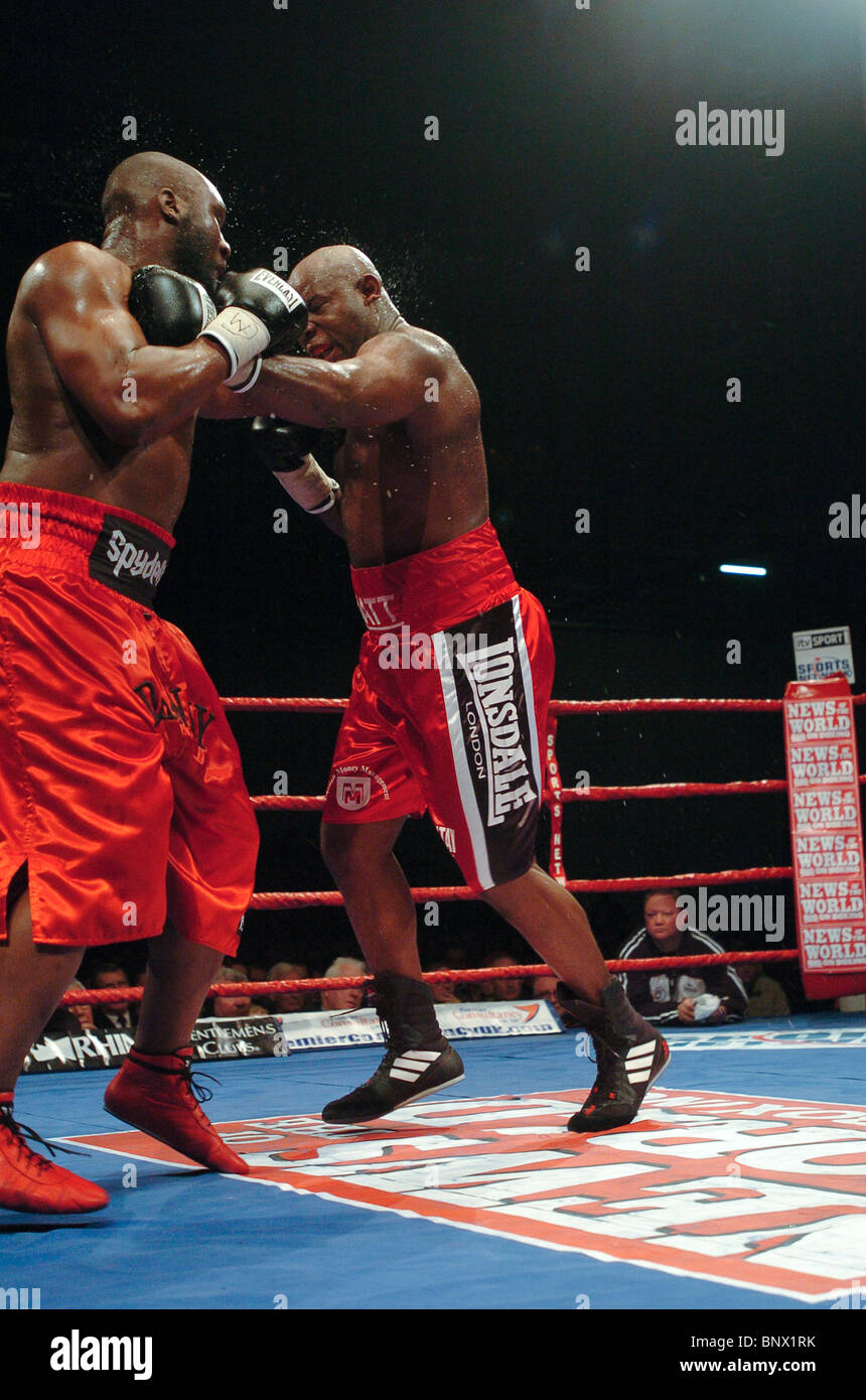 Heavyweight Danny Williams (à gauche) bat Matt Skelton dans leur première réunion à l'ExCel Arena à Londres UK Banque D'Images