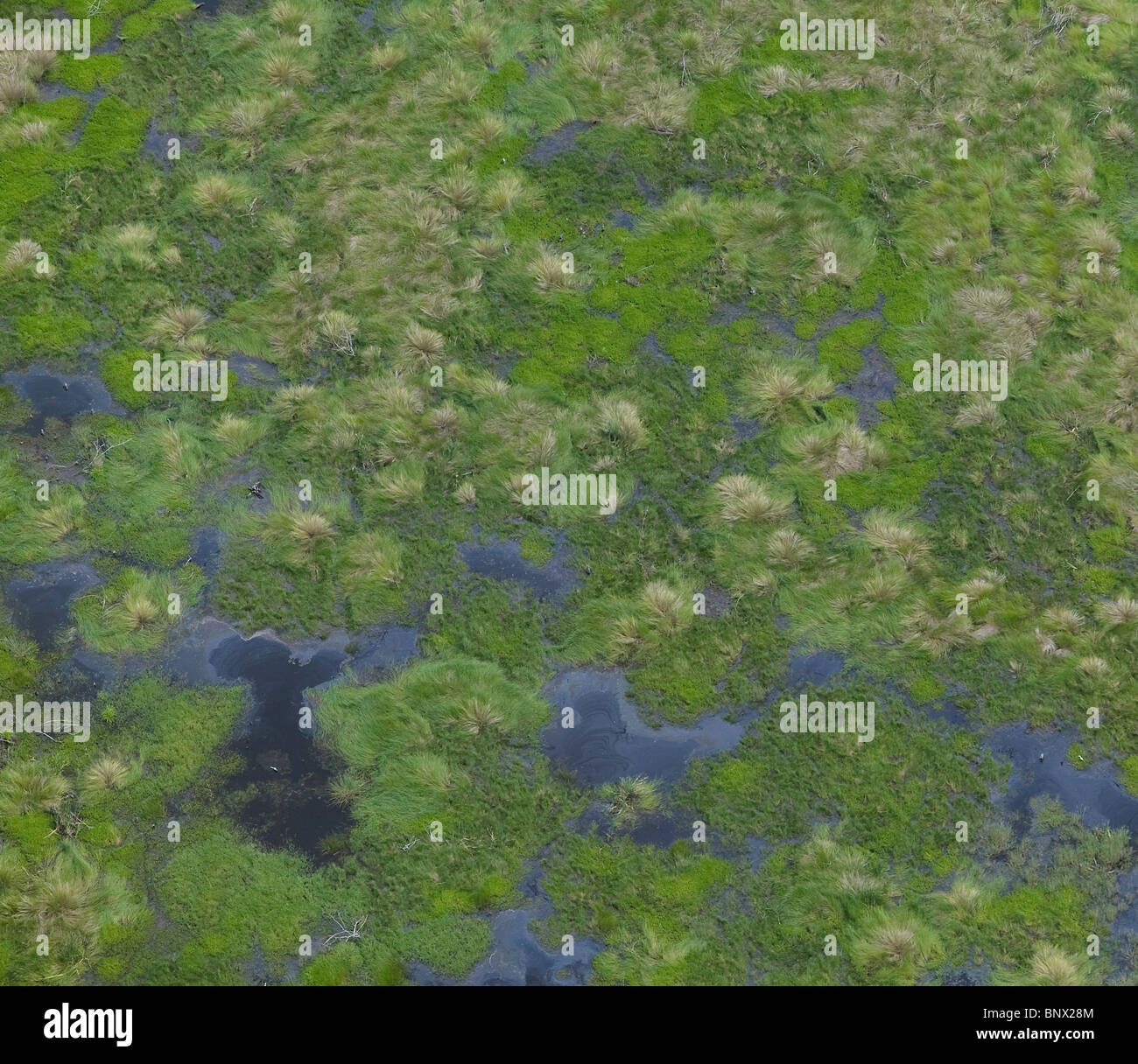 Vue aérienne au-dessus du fleuve Mississippi delta oil sheen près de New Orleans Banque D'Images