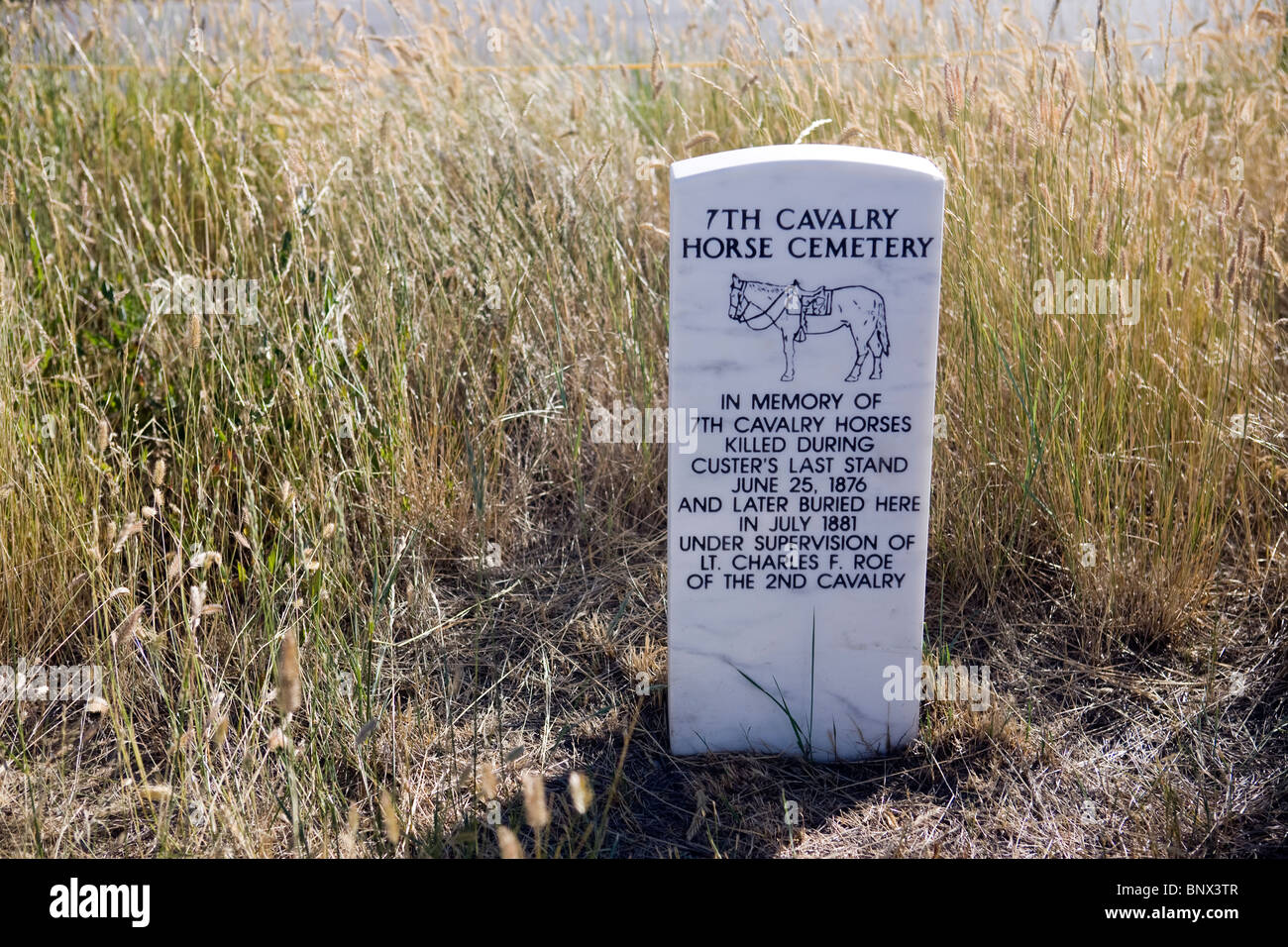 Marqueurs dans la mémoire des chevaux tués à Little Big Horn Battlefield National Monument, au Montana. Banque D'Images