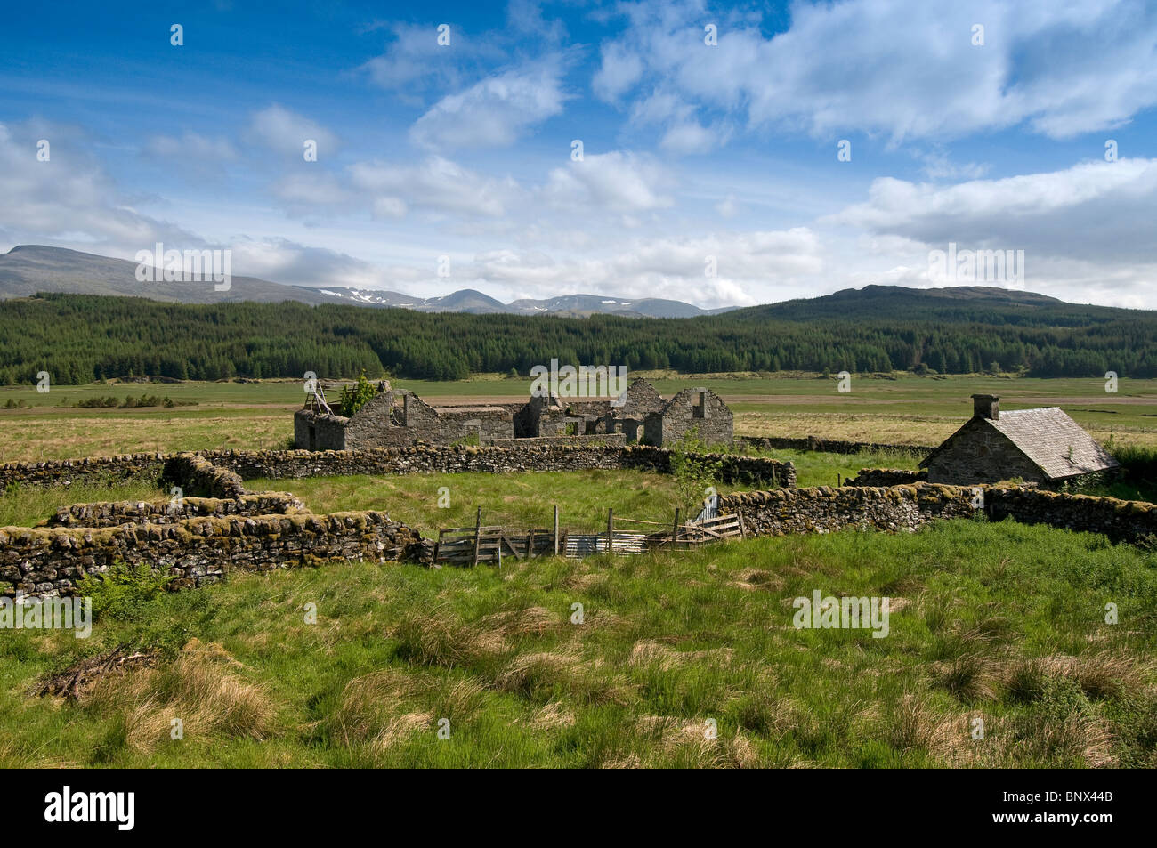 Les ruines de Moy ferme, Badenoch et Strathspey, Inverness-shire, en Écosse. 6213 SCO Banque D'Images