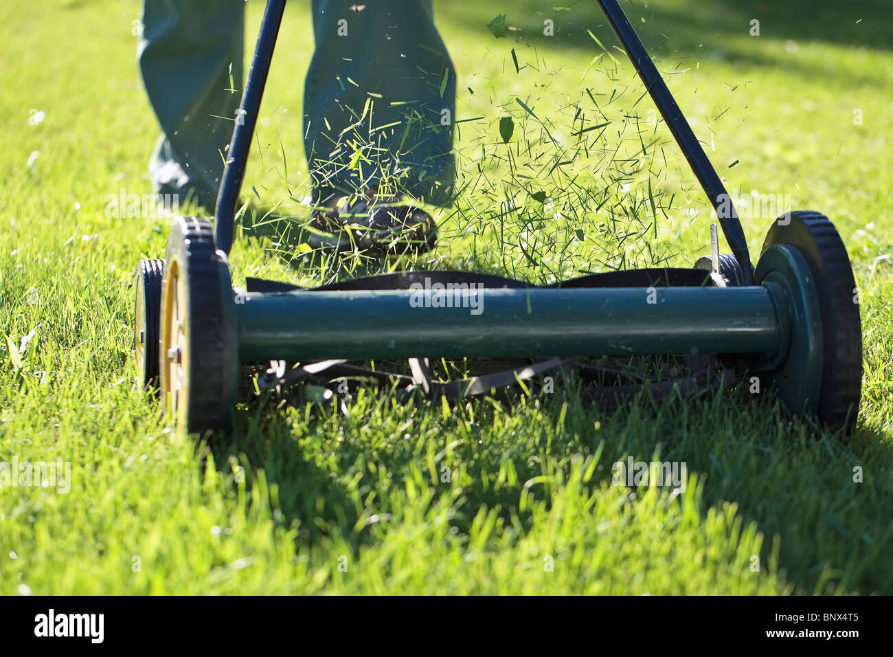 Couper l'herbe avec une tondeuse à gazon. Banque D'Images Couper l'herbe avec une tondeuse à gazon. Banque D'Images