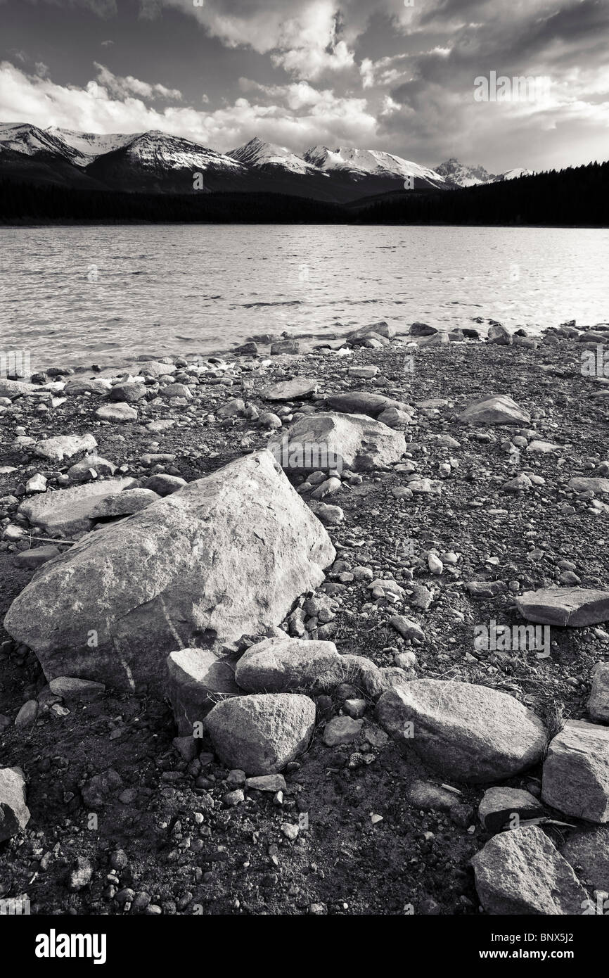 Patricia Lake à la recherche vers l'Indian Ridge Jasper National Park, Alberta, Canada Banque D'Images