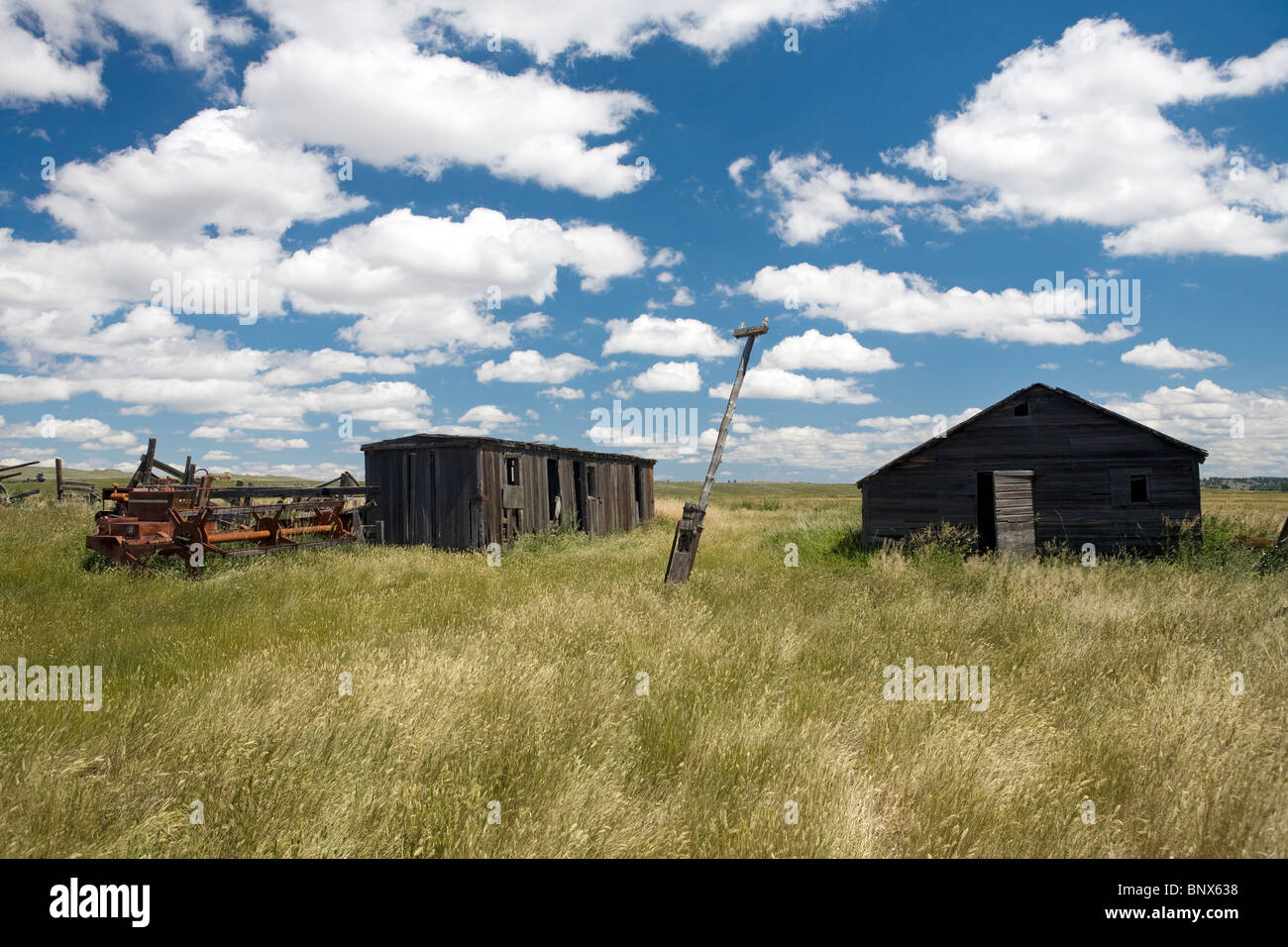 Vieux bâtiment abandonné sur un ranch près de Comanche, Montana. Banque D'Images