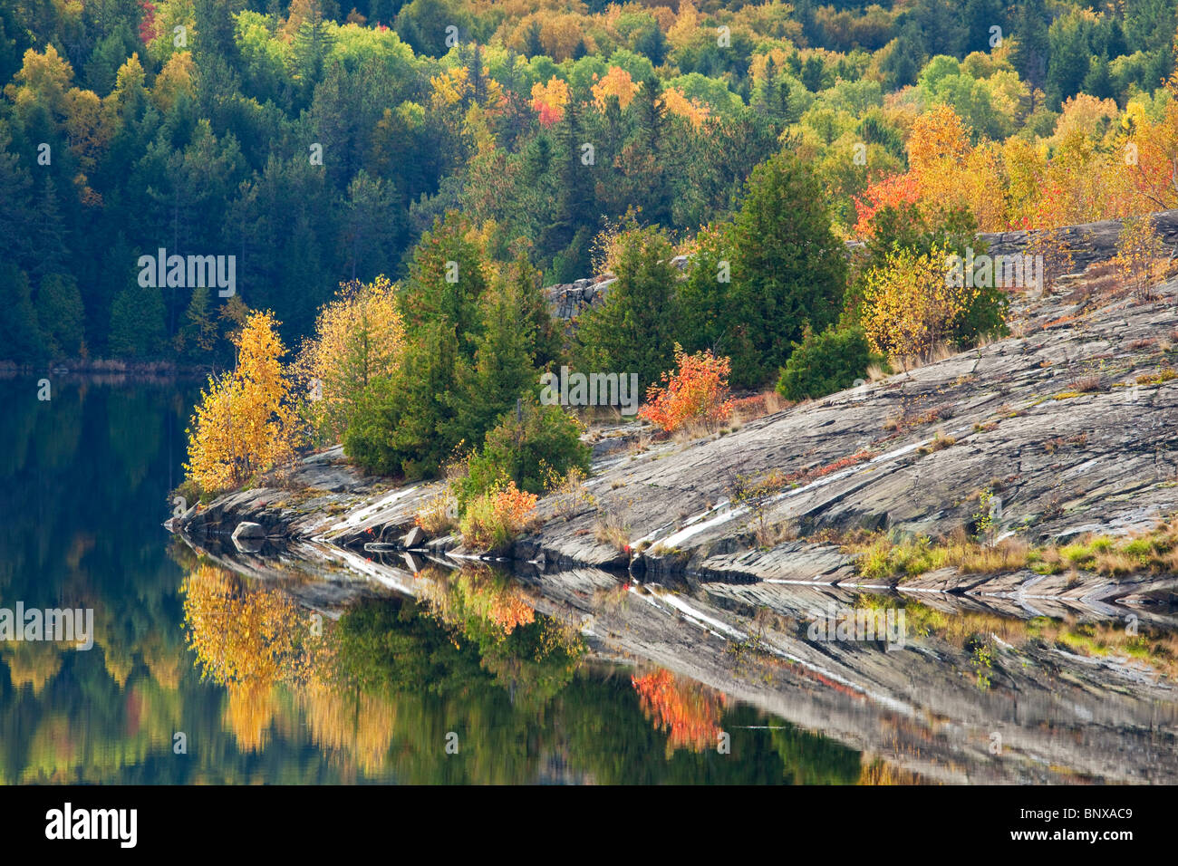 Le Calme De L Automne Sur Le Lac Simon Sudbury Ontario Canada Photo Stock Alamy