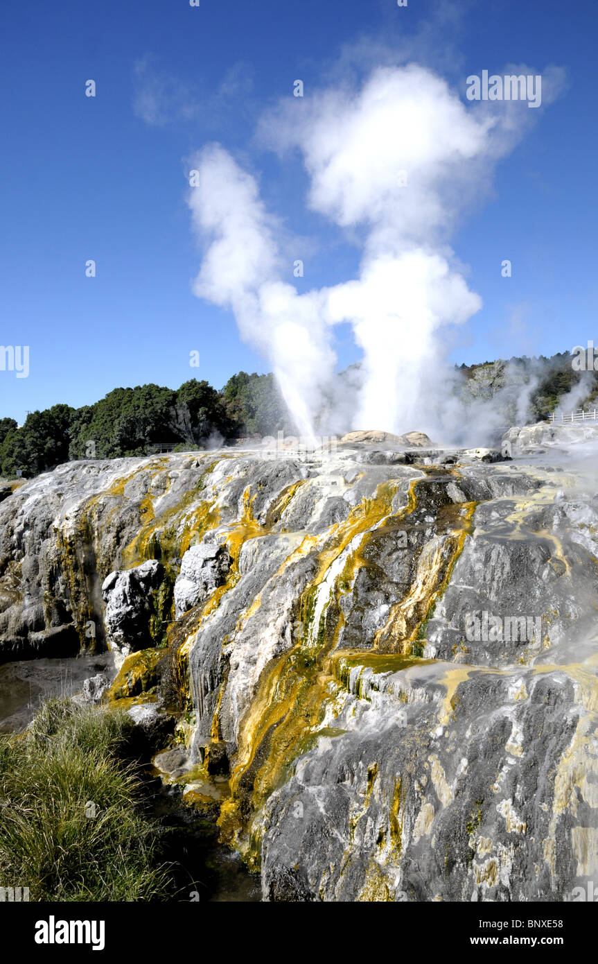 Geyser au Te Po dans Rotorua Nouvelle Zélande Banque D'Images