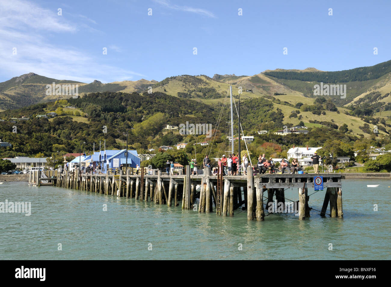 Jetée de Nouvelle-zélande Akaroa Banque D'Images