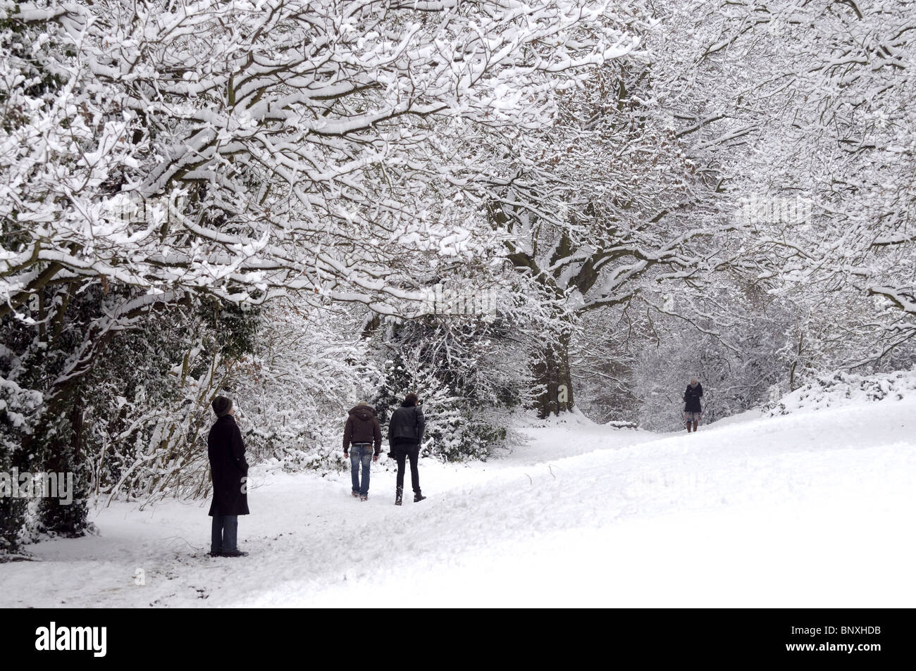 Hampstead Heath dans la neige Londres Banque D'Images