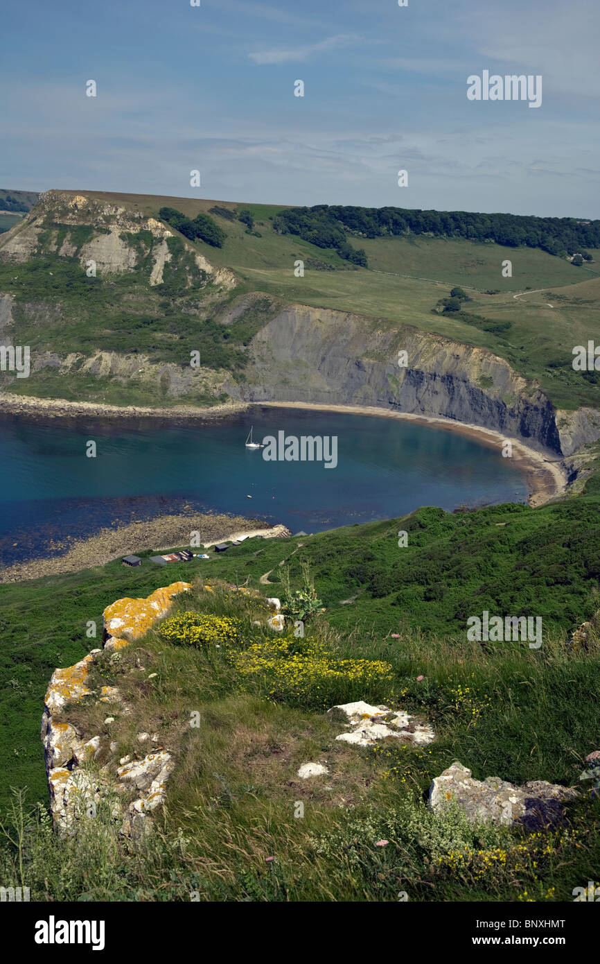 Vue de la côte jurassique collines de Purbeck Banque D'Images