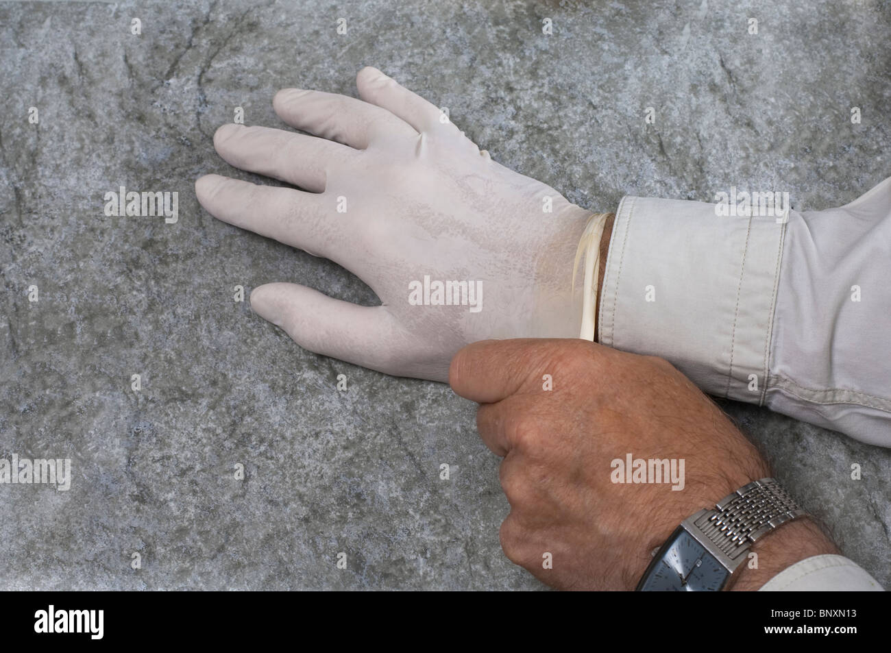 Mettre des gants en caoutchouc latex médical Banque D'Images