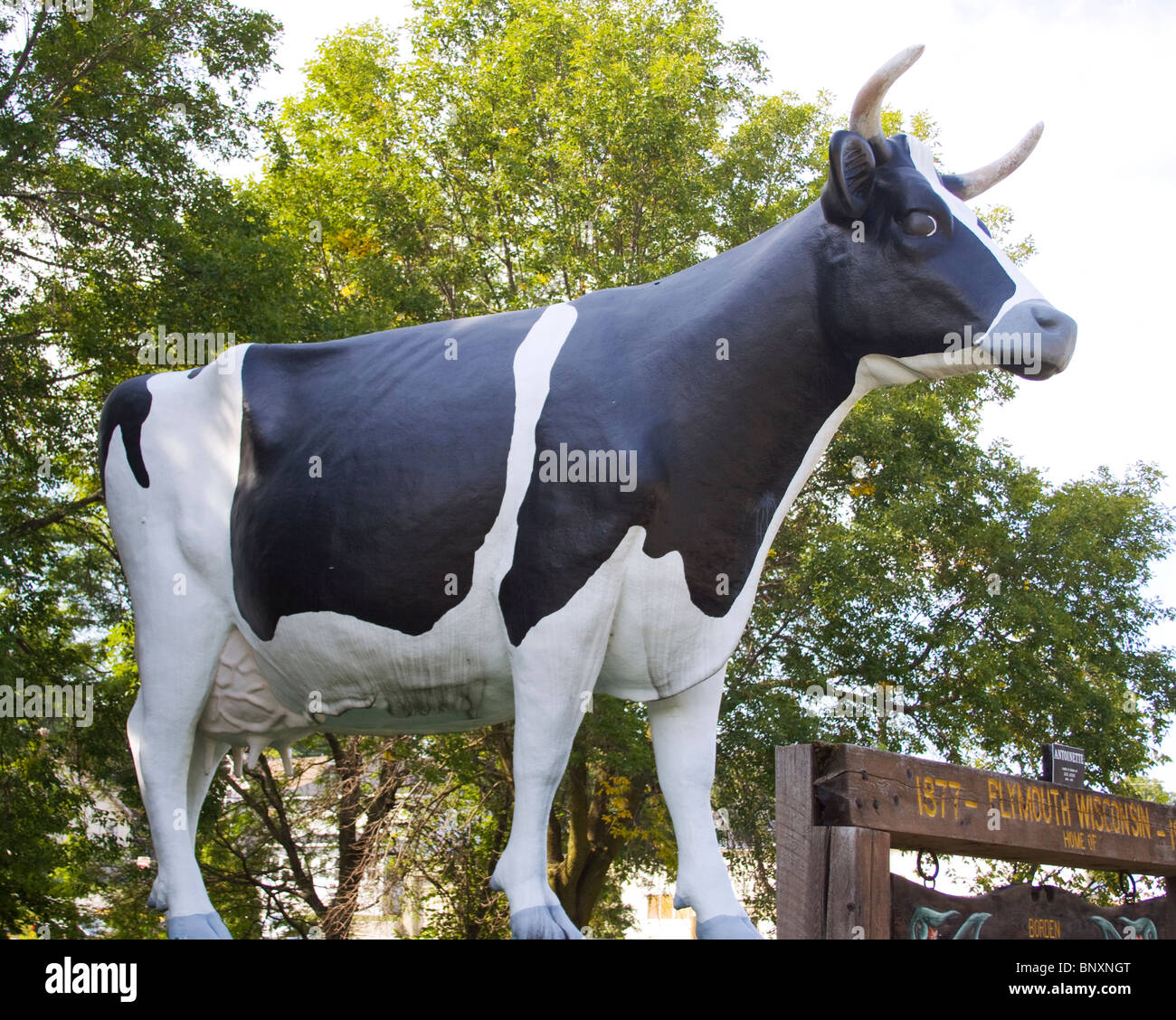 Vache géante à Plymouth au Wisconsin Banque D'Images