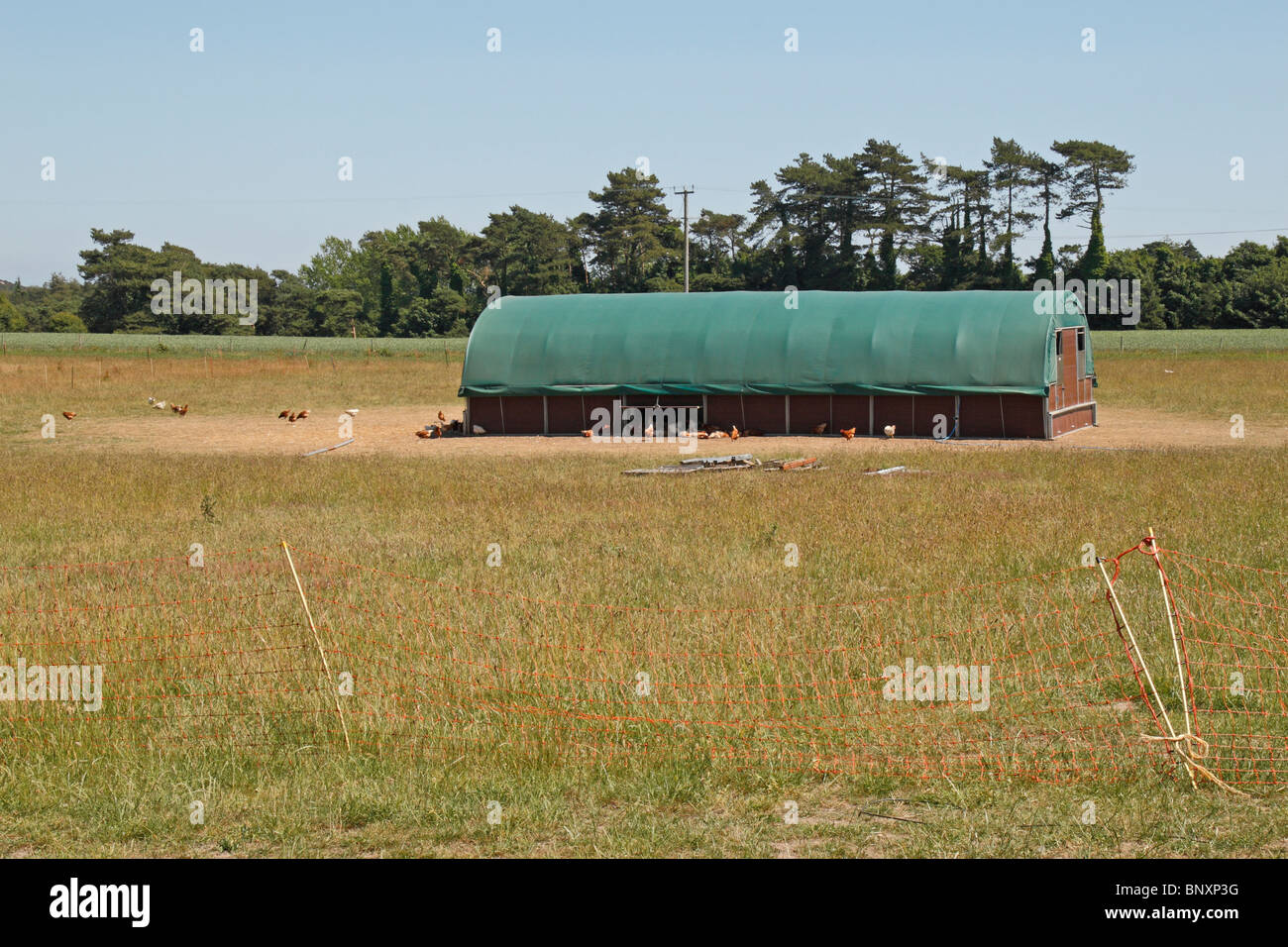Poulailler Photos Poulailler Images Alamy