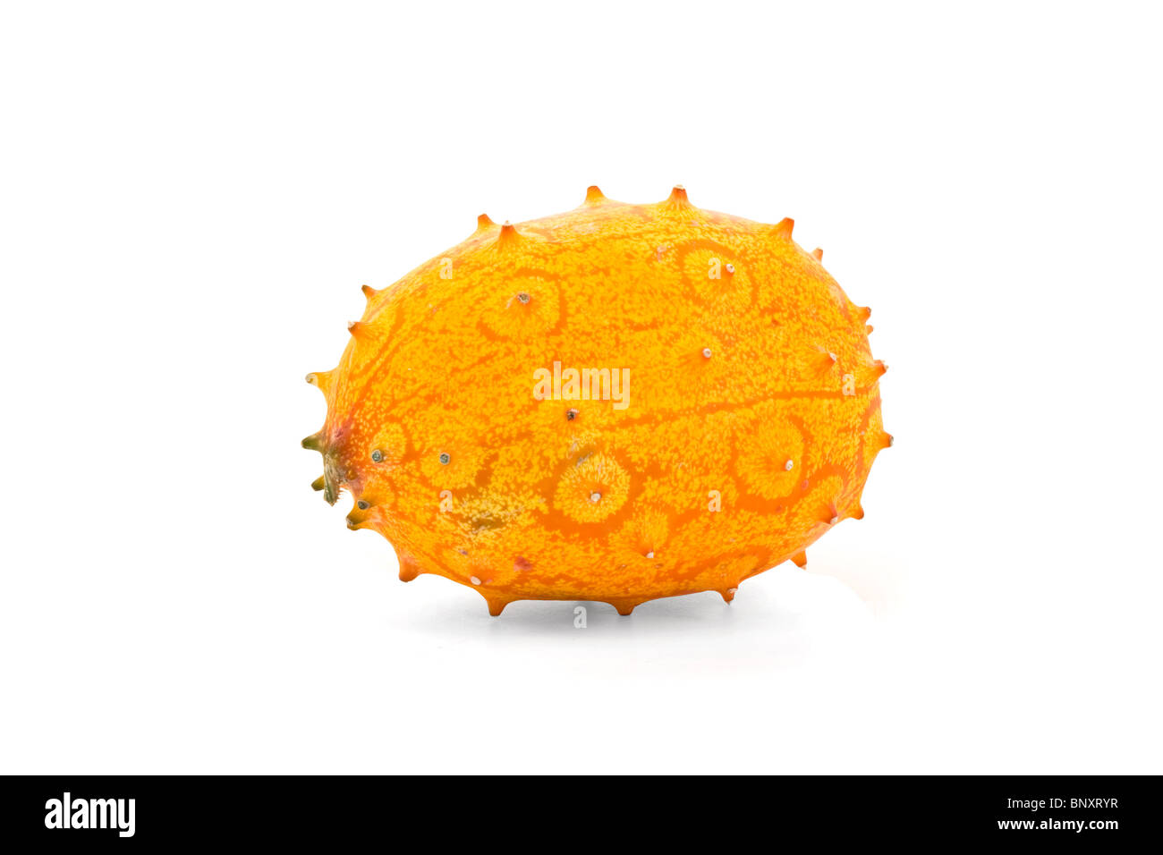 Cucumis metulifera - Kiwano - melon à cornes Banque D'Images