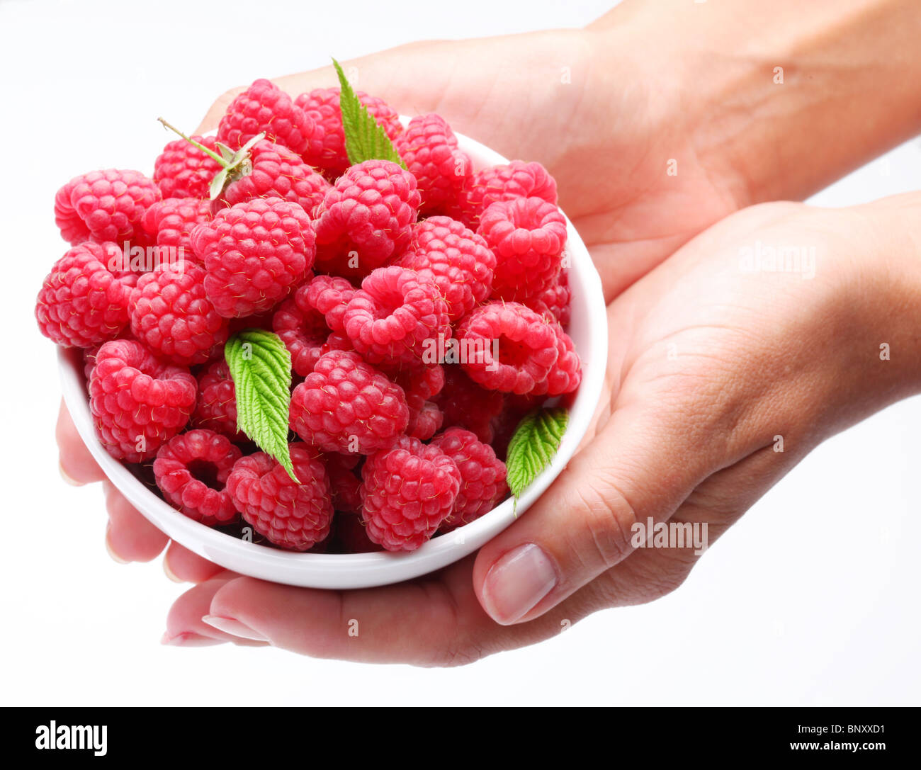De la vaisselle avec des framboises dans femme mains. Isolé sur un fond blanc. Banque D'Images