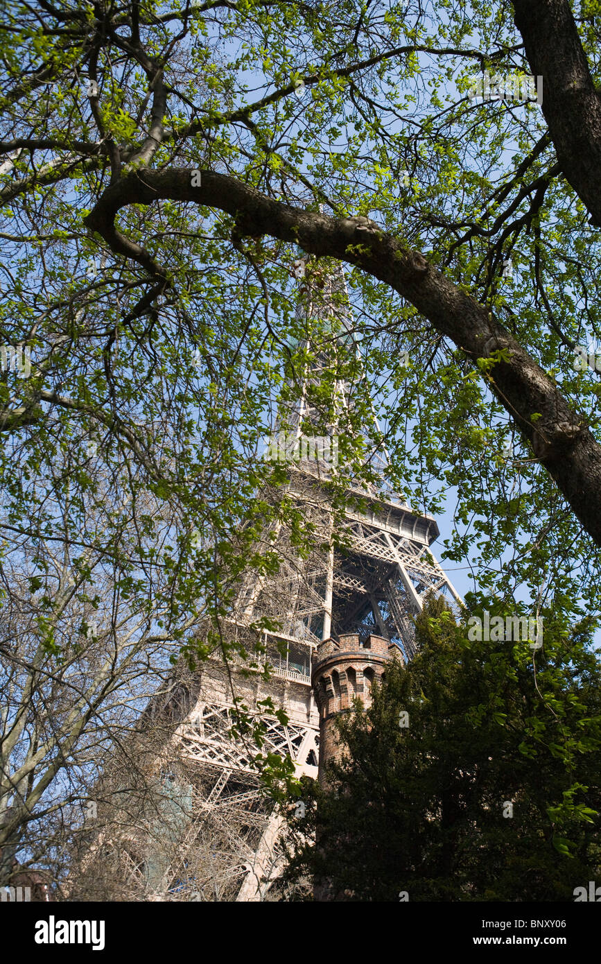 La Tour Eiffel, Paris, France, low angle view vu par les feuilles d'arbre Banque D'Images