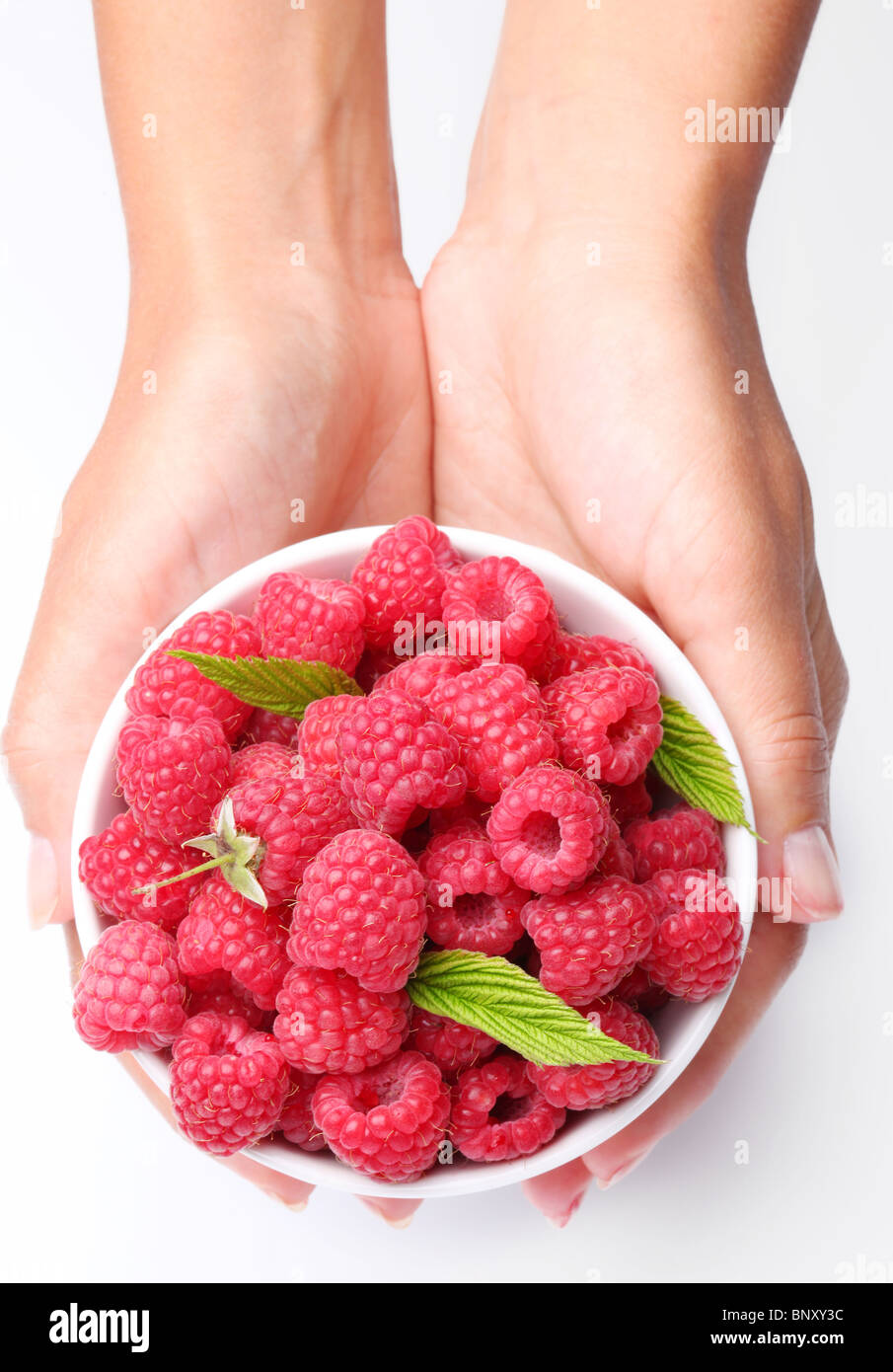 De la vaisselle avec des framboises dans femme mains. Isolé sur un fond blanc. Banque D'Images