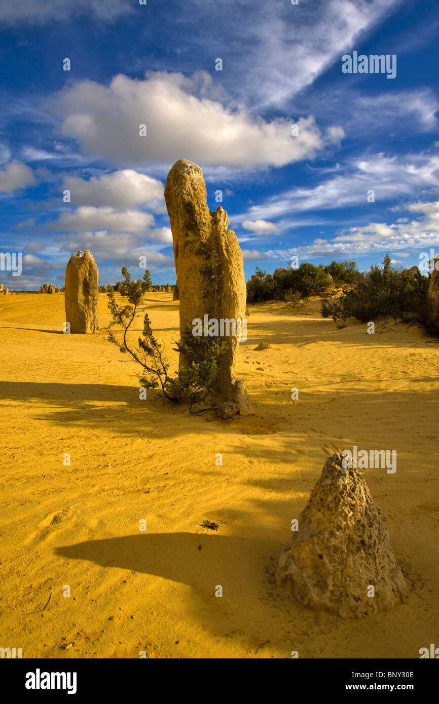 Les Pinnacles, le Parc National de Nambung, dans l'ouest de l'Australie. D'étranges formations rocheuses de calcaire dans un désert éolien jaune. Banque D'Images