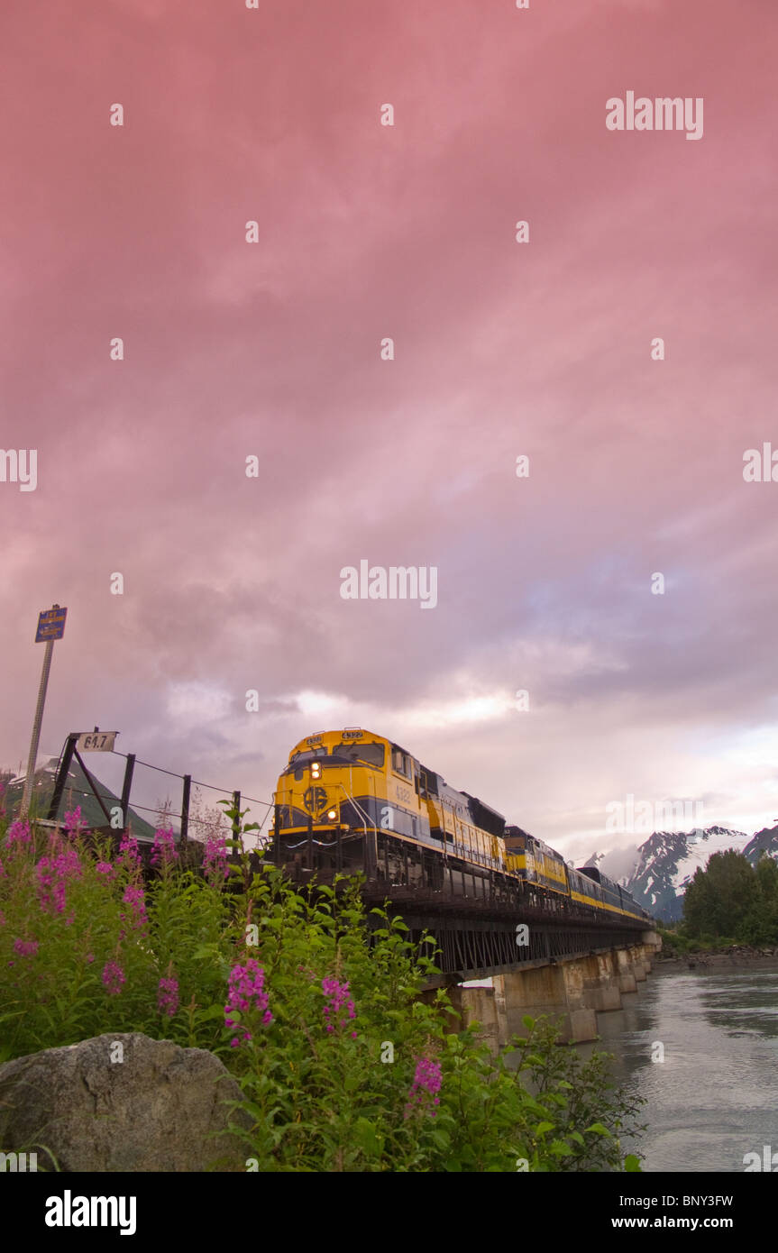 La Alaska Railroad équitation le long des voies dans Alaska Banque D'Images
