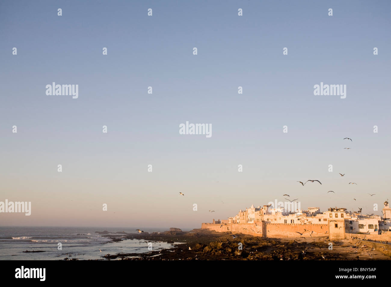 Médina d'Essaouira, Maroc Banque D'Images