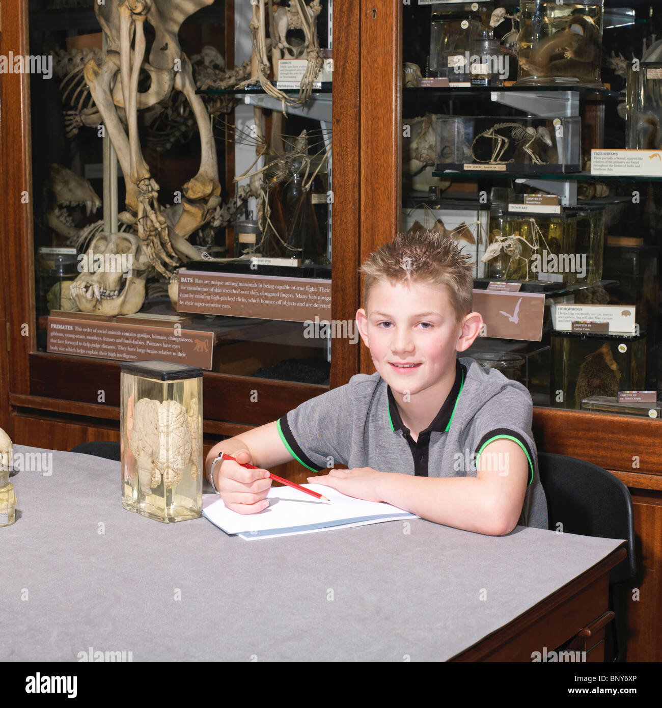 Boy in sitting at table in museum Banque D'Images