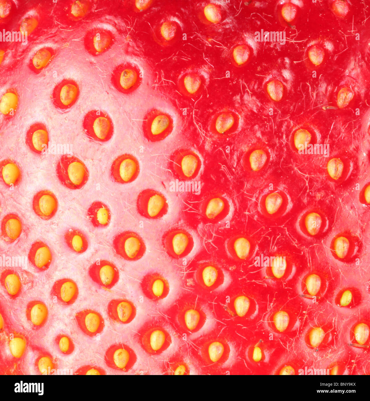 Strawberry texure. Plan Macro sur la fraise. Banque D'Images