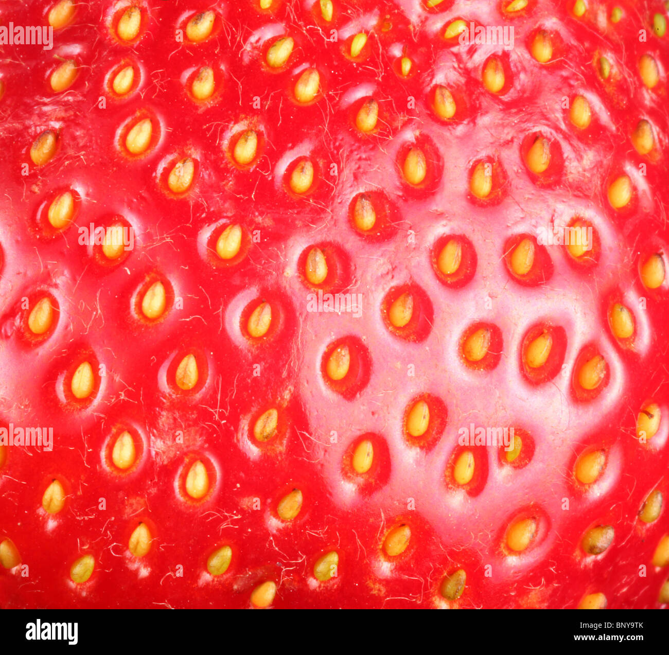 Strawberry texure. Plan Macro sur la fraise. Banque D'Images