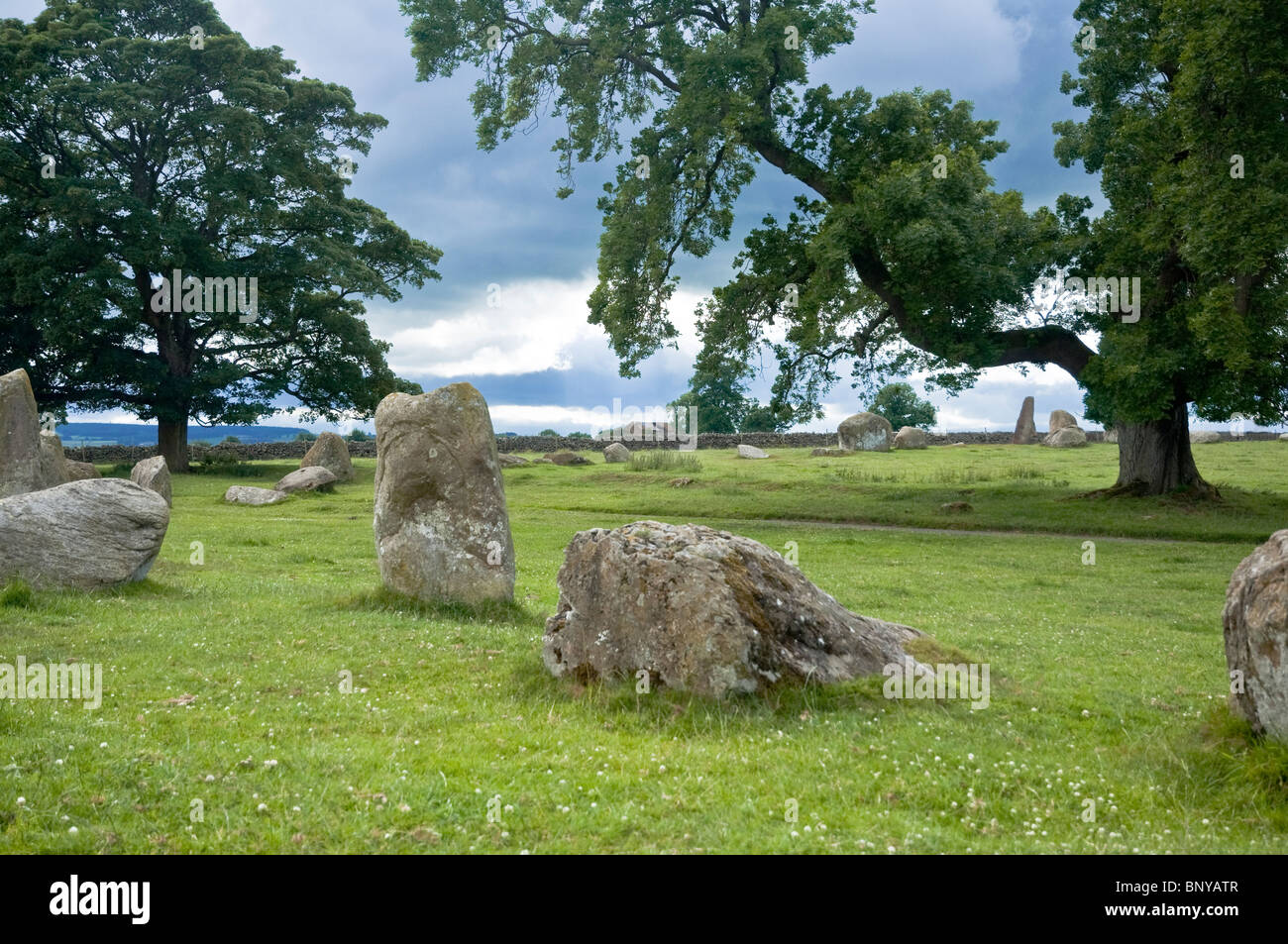 Long Meg and her daughters - un cercle de pierres anciennes, Cumbria, Royaume-Uni. Long Meg pierre est directement sous l'arbre branche arc. Banque D'Images