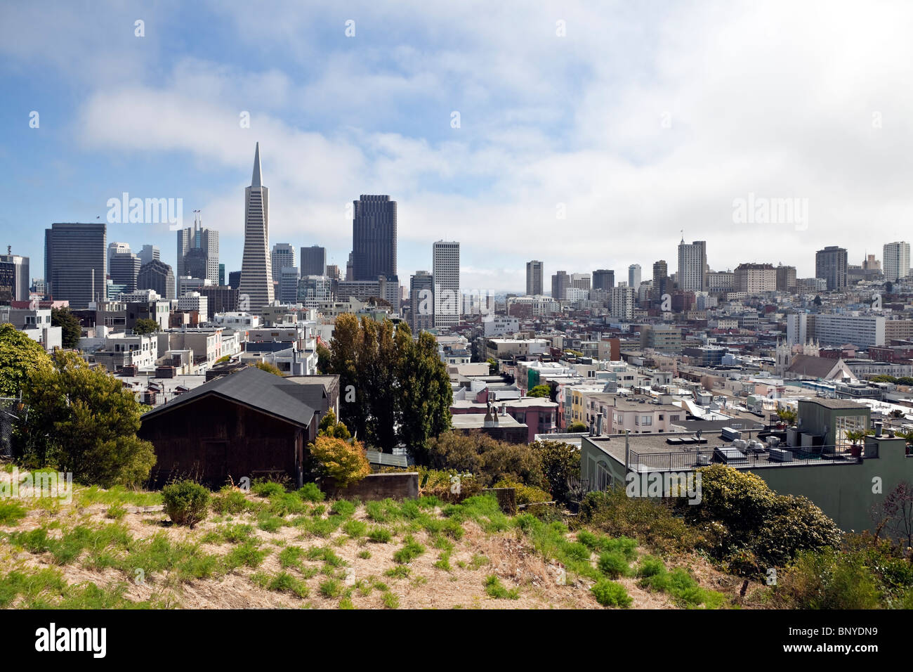 Le centre-ville de San Francisco et l'approche de summer fog bank. Coup de Coit Tower Park. Banque D'Images