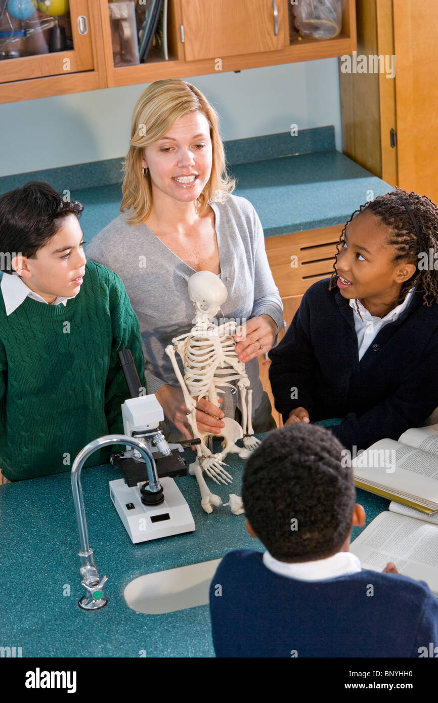 Enseignant et élèves en classe de sciences avec modèle squelette Banque D'Images