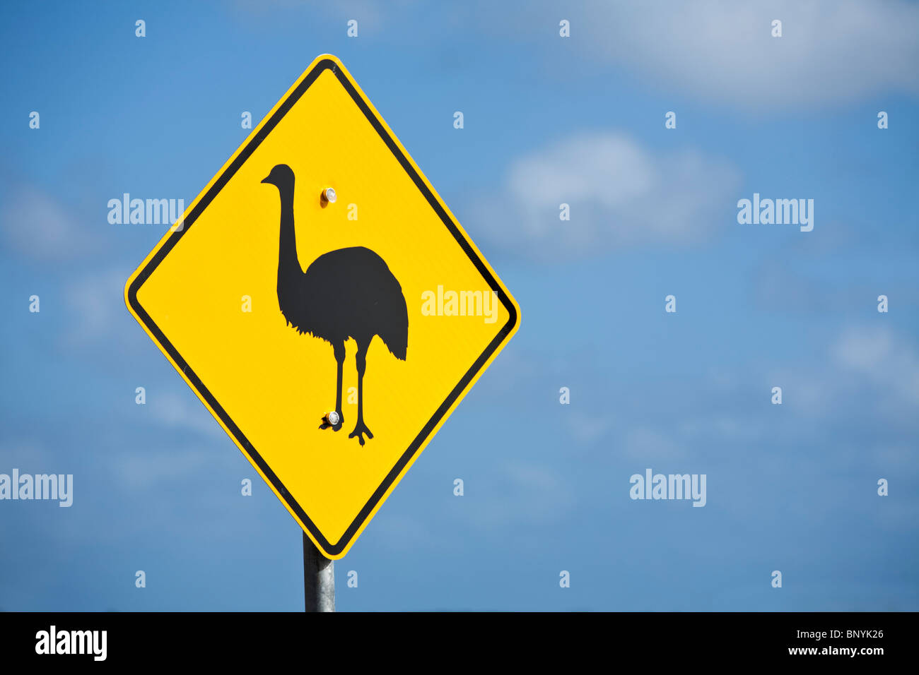 L'UEM crossing road sign dans le Parc National de Nambung. Cervantes, Australie occidentale, Australie. Banque D'Images