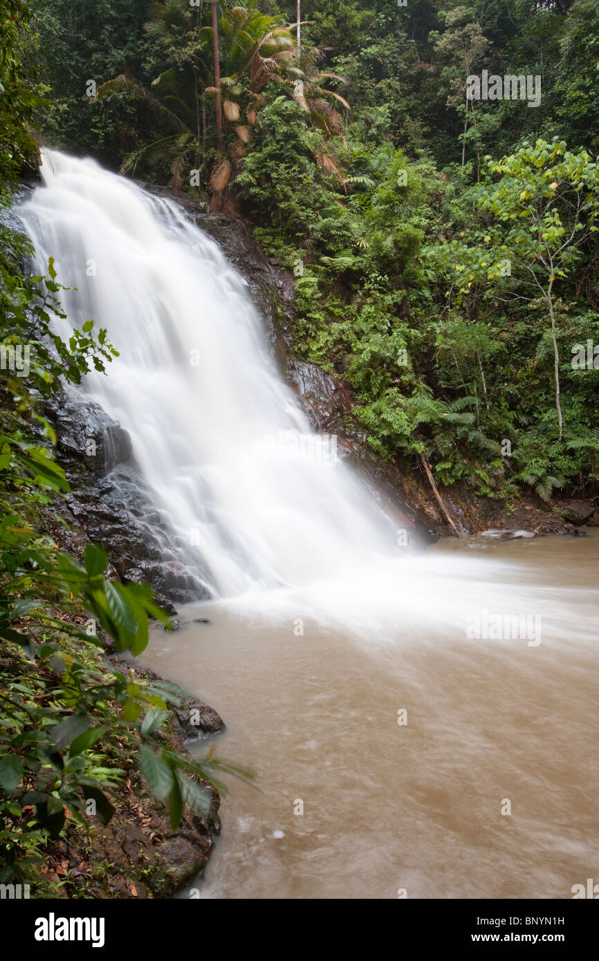 La région de Kota Tinggi cascade au Gunung Panti Forêt récréative cascadant. Banque D'Images