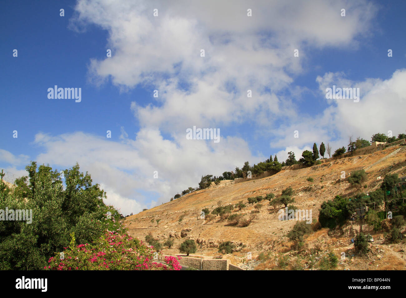 Israël, Jérusalem, une vue de la vallée de Hinnom du monastère grec orthodoxe saint Onuphrius Banque D'Images