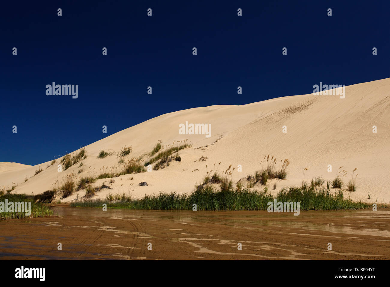 La vapeur Te Paki et des dunes de sable à néos-zélandais Northland. Banque D'Images