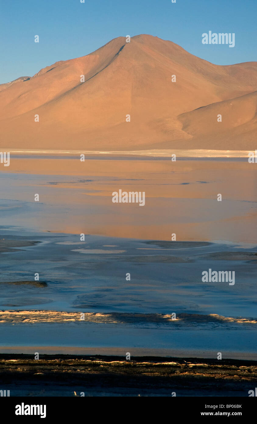 Laguna Colorado à 4278 mètres, une riche source de sodium, magnésium, borax et gypse sur le haut de l'Altiplano Bolivie sud ouest Banque D'Images