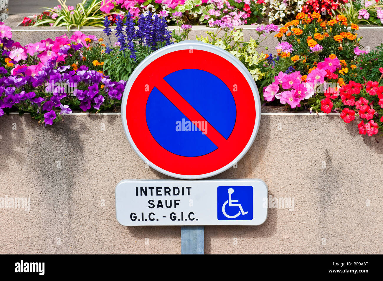 Pas de stationnement / attente sauf pour les utilisateurs handicapés avertissement - France. Banque D'Images