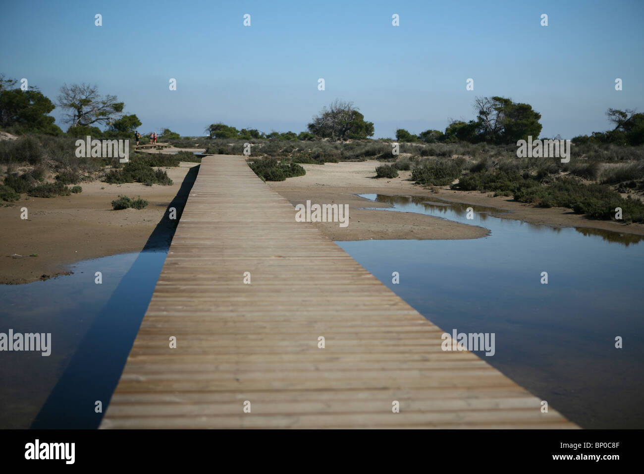 Promenade à San Pedro del Pinatar, parc régional Salinas de San Pedro. Banque D'Images