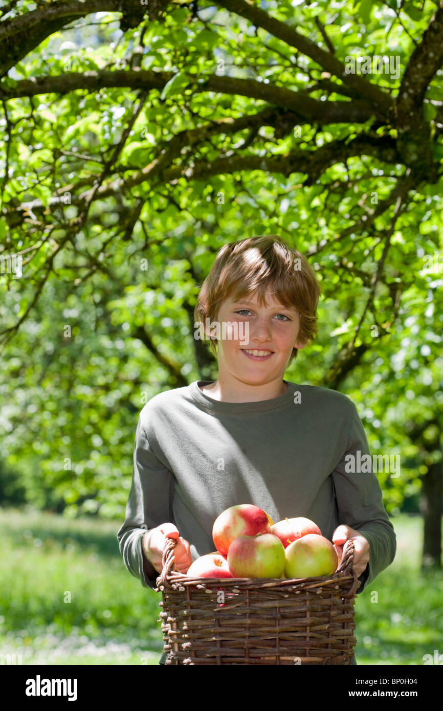 Boy carrying basket aux pommes Photo Stock - Alamy