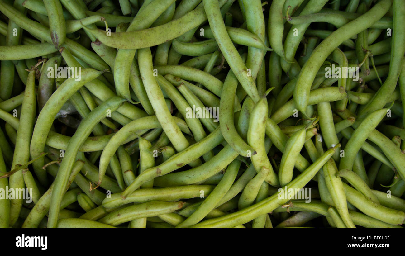 Haricots verts Banque D'Images