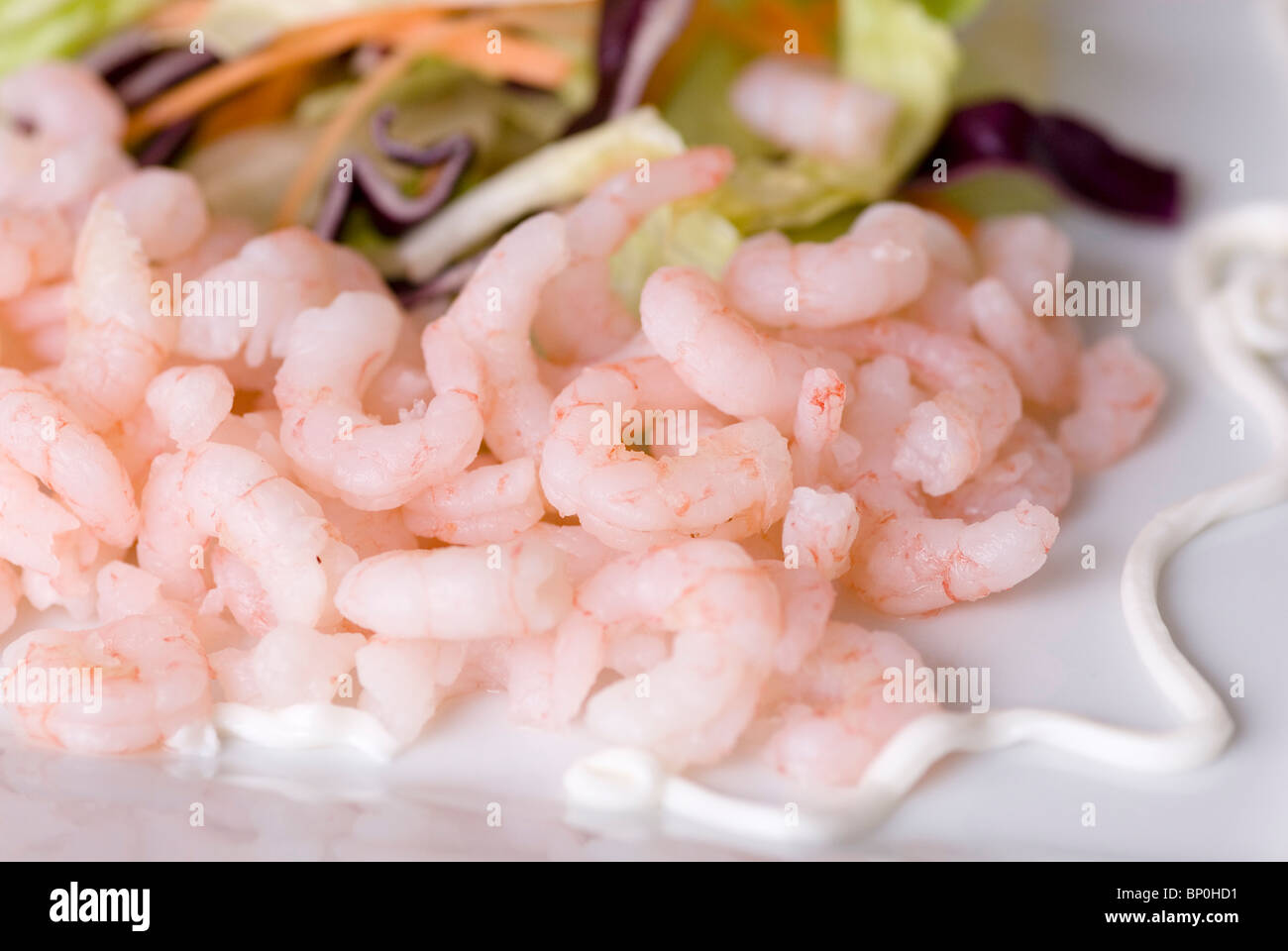 Cocktail de crevettes Banque D'Images