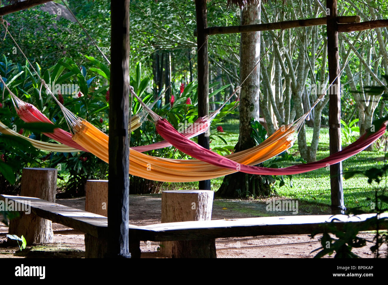 Le Pérou. Des hamacs colorés à l'Inkaterra Reserva Amazonica Lodge, situé sur les rives de la rivière Madre de Dios. Banque D'Images