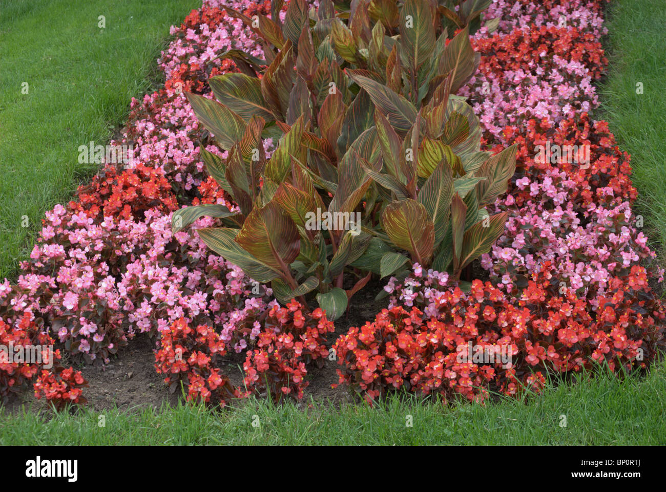 Lit de fleur jardin à Highland Park, Rochester, NY Banque D'Images
