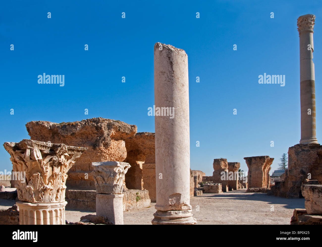 Ruines de Carthage à Tunis, des bains d'Antonin Banque D'Images