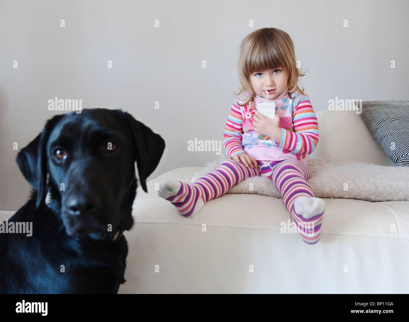 Cadix, Espagne ; une jeune fille bénéficie d'une boîte de jus tout en étant assis à côté de son chien de compagnie Banque D'Images
