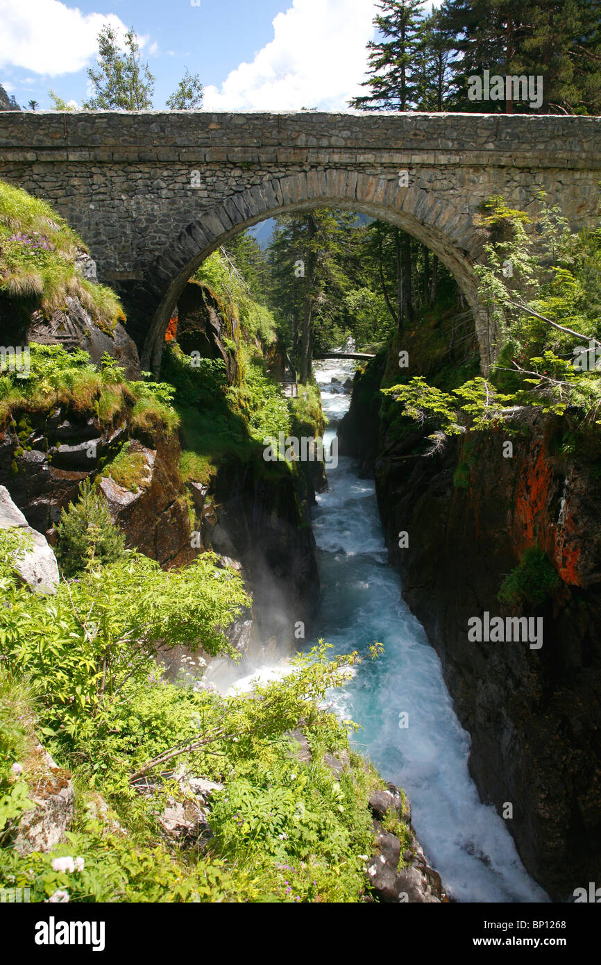 France, Midi Pyrénées, Hautes-Pyrénées, Cauterets (parc national des Pyrénées Pont d'Espagne) Banque D'Images