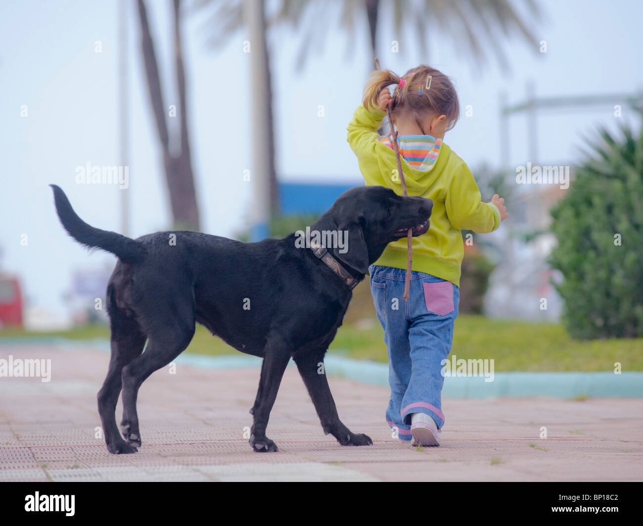 Benalmadena Costa, Malaga, Andalousie, Espagne ; une jeune fille se promène avec son chien Banque D'Images