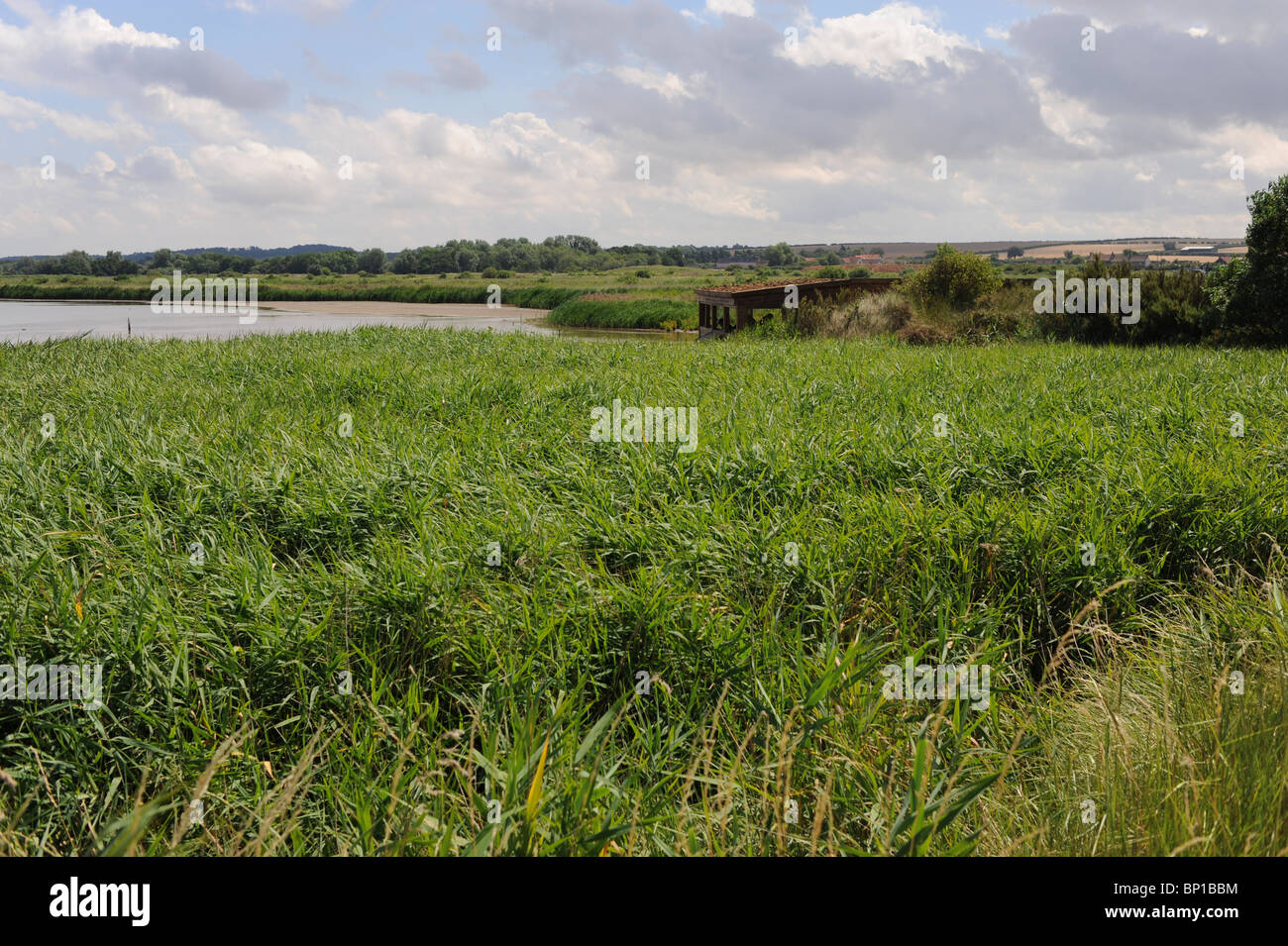 Réserve naturelle de Titchwell Marsh RSPB Norfolk Angleterre Royaume-Uni Banque D'Images