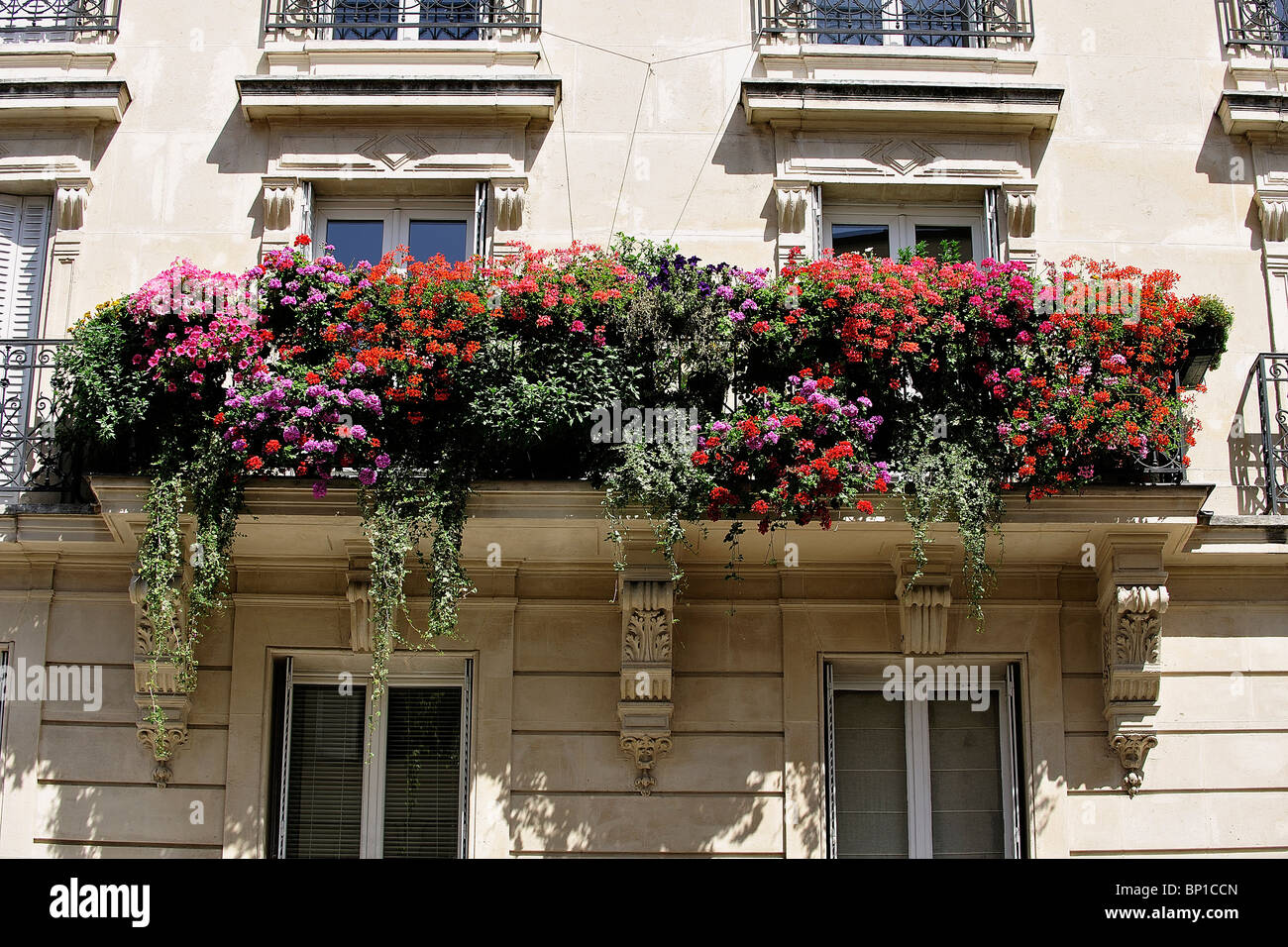 France Paris Balcon Fleuri Photo Stock Alamy France Paris Balcon Fleuri Photo Stock Alamy