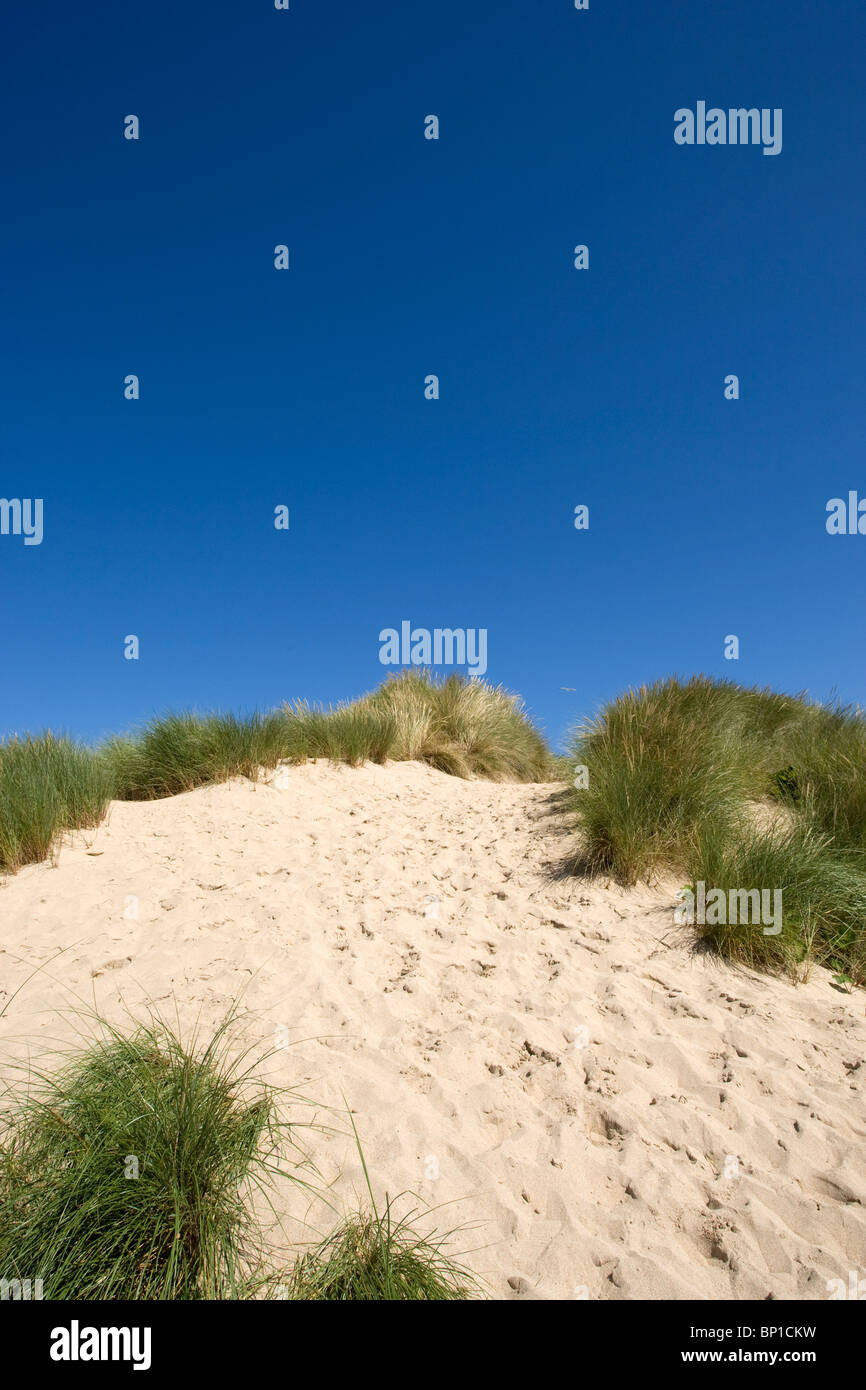 À Hayle Towans des dunes de sable, Cornwall Banque D'Images